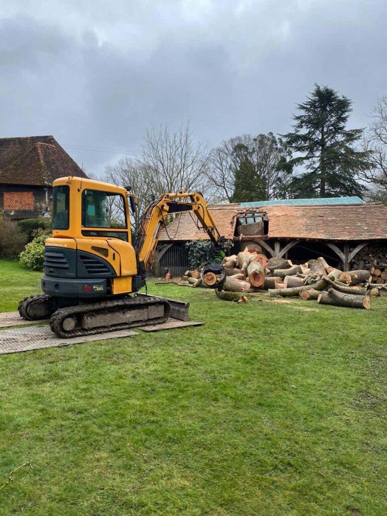 This is a photo of a tree which has grown through the roof of a barn that is being cut down and removed. There is a digger that is removing sections of the tree as well. Thrapston Tree Surgeons