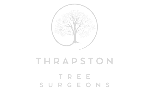 Thrapston Tree Surgeons